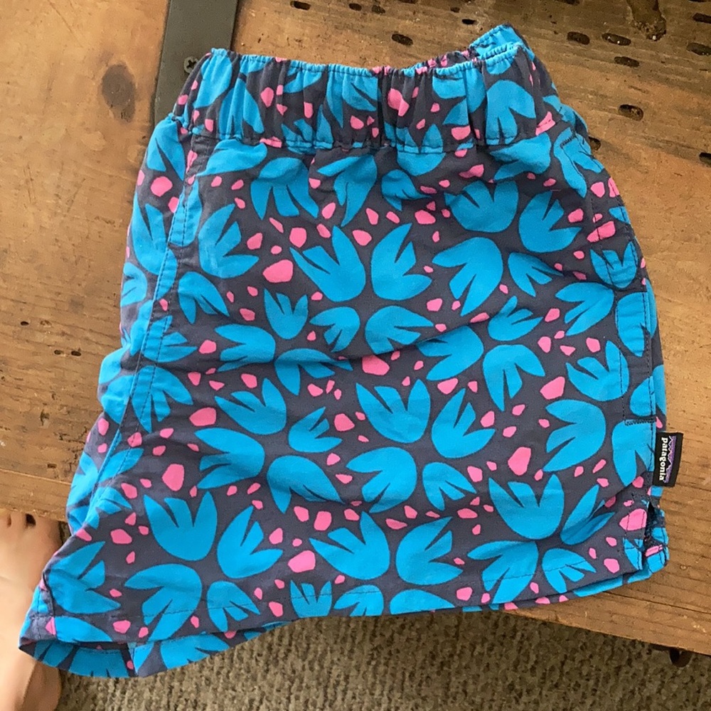 Barely Baggies Patagonia shorts